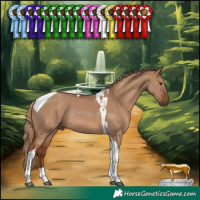 Horse Color:Red Dun Tobiano Rabicano 