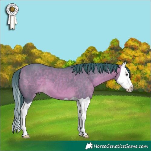 Horse Color:Watercolor Bay Dun Splash 