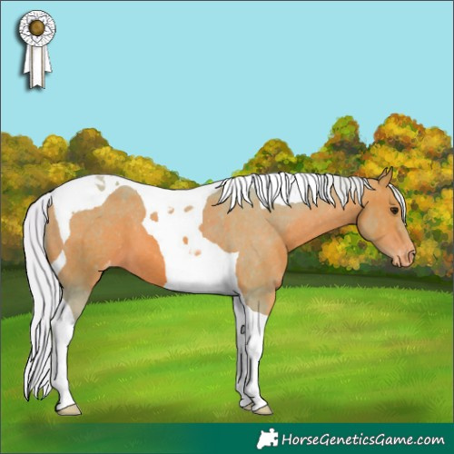 Horse Color:Watercolor Silver Bay Tobiano Varnish 