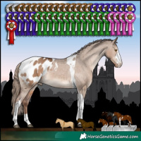 Horse Color:Liver Red Dun Sabino Tobiano Appaloosa Rabicano 