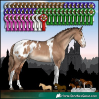 Horse Color:Liver Red Dun Sabino Tobiano Blanket Rabicano 
