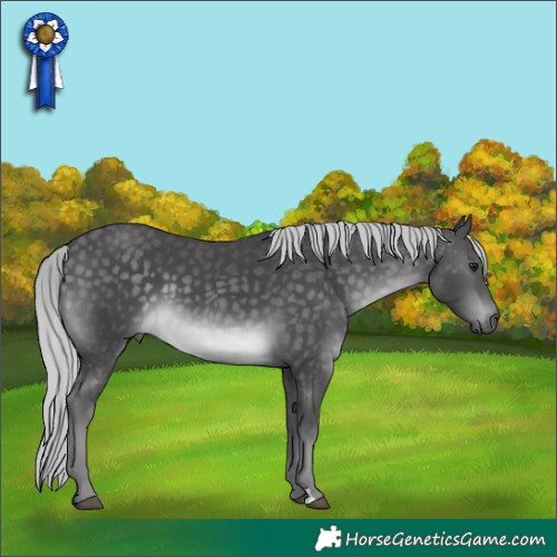 Horse Color:Platinum Silver Buckskin 