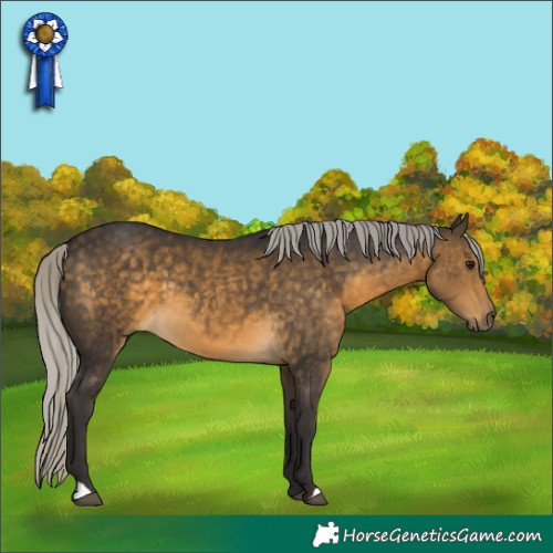 Horse Color:Silver Buckskin 