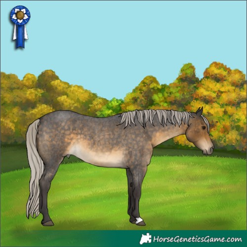 Horse Color:Silver Buckskin Roan 