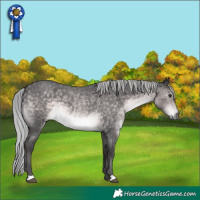 Horse Color:Platinum Silver Buckskin Roan 