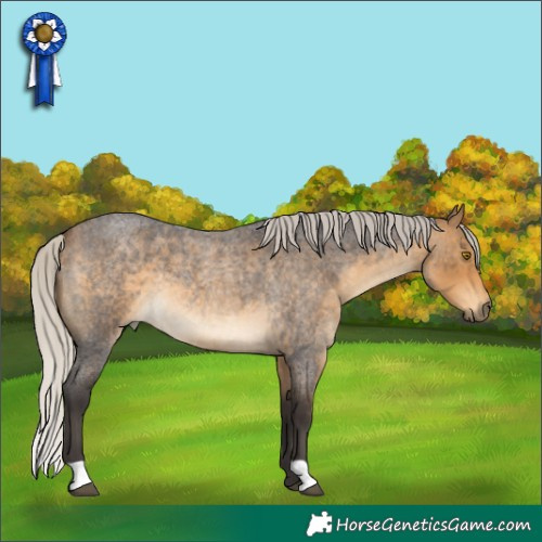 Horse Color:Silver Buckskin Roan 