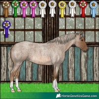 Horse Color:Chocolate Palomino Roan 