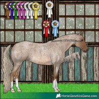 Horse Color:Chocolate Palomino Roan