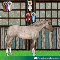 Horse Color:Chocolate Palomino Roan 