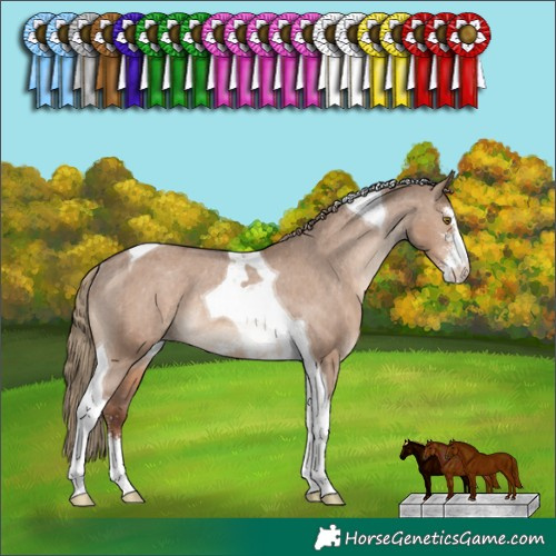 Horse Color:Liver Red Dun Sabino Tobiano Varnish Rabicano