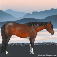 Horse Color:Brown Sabino Tobiano 