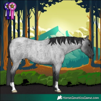 Horse Color:Blue Roan 