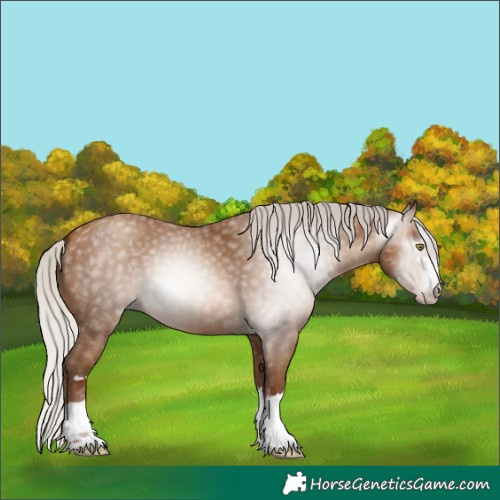 Horse Color:Gray Silver Sable Champagne 