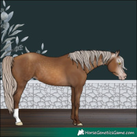 Horse Color:Gray Silver Sable Champagne 