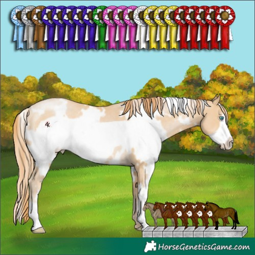 Horse Color:White Spotted Smoky Black Pearl Frame Rabicano 