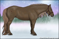 Horse Color:Chocolate Palomino 