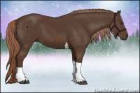 Horse Color:Liver Chestnut Tobiano 