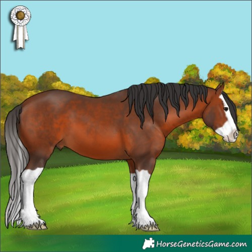 Horse Color:Bay Splash 