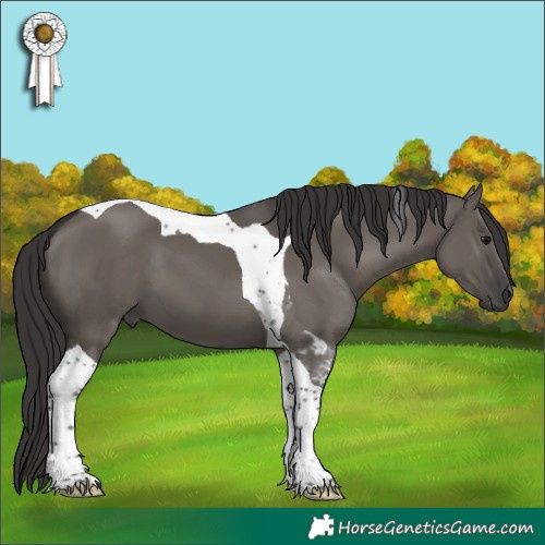 Horse Color:Smoky Grullo Tobiano 