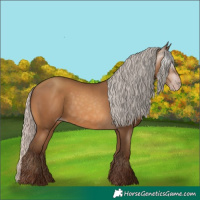 Horse Color:Gray Silver Sable Champagne 