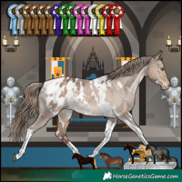 Horse Color:White Spotted Liver Red Dun Tobiano Appaloosa Rabicano