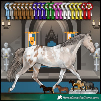 Horse Color:White Spotted Liver Red Dun Tobiano Appaloosa Rabicano