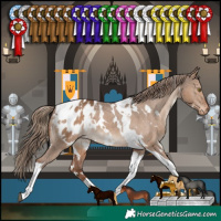 Horse Color:White Spotted Liver Red Dun Tobiano Appaloosa Rabicano