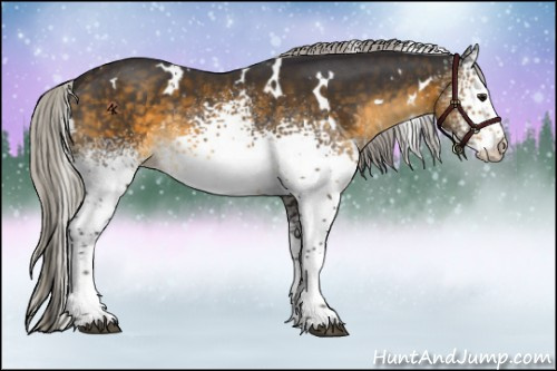 Horse Color:White Spotted Silver Buckskin Rabicano