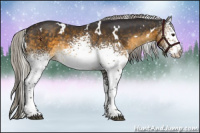 Horse Color:White Spotted Silver Buckskin Rabicano