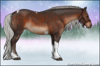 Horse Color:Silver Brown Tobiano 