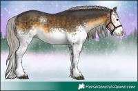 Horse Color:White Spotted Silver Buckskin 