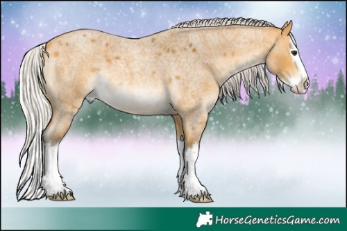 Horse Color:Silver Buckskin Roan Splash