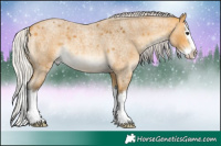 Horse Color:Silver Buckskin Roan Splash