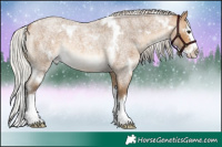 Horse Color:White Spotted Silver Buckskin Roan Splash 