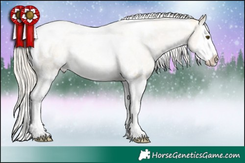 Horse Color:White Spotted Silver Buckskin Roan Dun Splash 