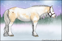 Horse Color:White Spotted Silver Buckskin Roan Dun Splash