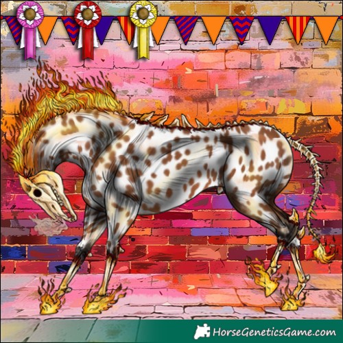 Horse Color:Bay Leopard