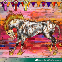 Horse Color:Bay Appaloosa