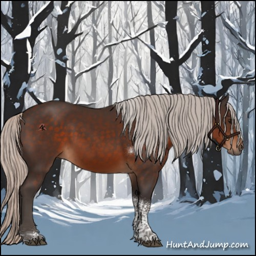 Horse Color:Silver Brown Tobiano 