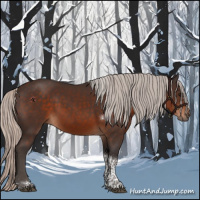 Horse Color:Silver Brown Tobiano 