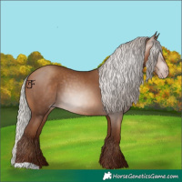 Horse Color:Gray Silver Sable Champagne 