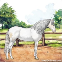 Horse Color:White Spotted Silver Classic Champagne Pearl Sabino Rabicano