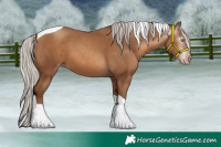 Horse Color:Gray Silver Sable Champagne Tobiano
