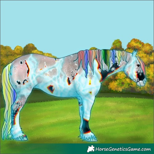 Horse Color:Painted Thunderstruck White Spotted Silver Blue Onyx Rabicano