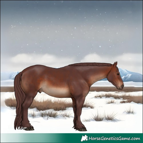 Horse Color:Chocolate Brown 