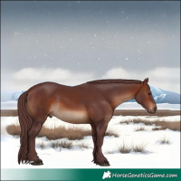 Horse Color:Chocolate Brown 