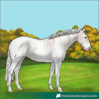 Horse Color:White Spotted Silver Amber Champagne Ice Tobiano 