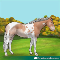Horse Color:Silver Sable Champagne Tobiano 