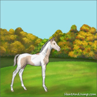 Horse Color:Silver Sable Champagne Dun Tobiano
