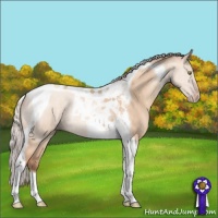 Horse Color:Silver Sable Champagne Dun Tobiano 